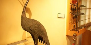 une grue